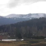 Dworek Dla Alergikow U Szkota *