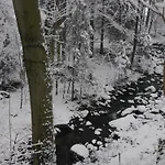Dworek Dla Alergikow 