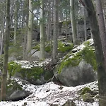 Dworek Dla Alergikow 