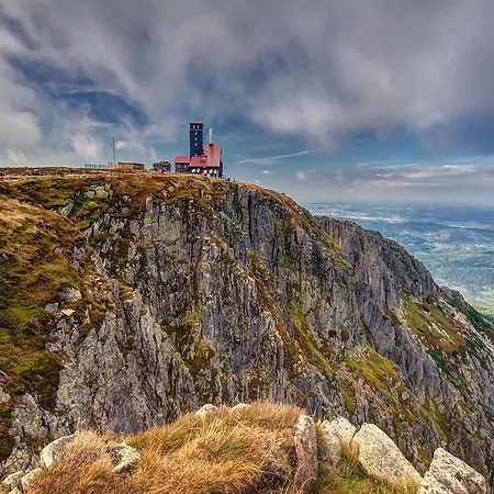 Dworek Dla Alergikow 