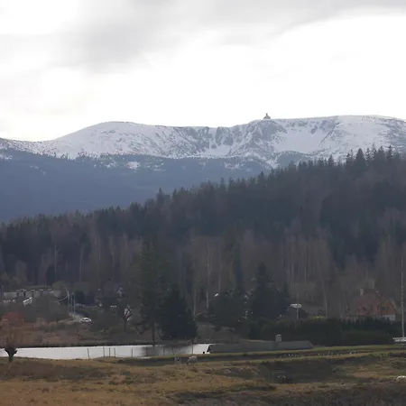 Dworek Dla Alergikow 