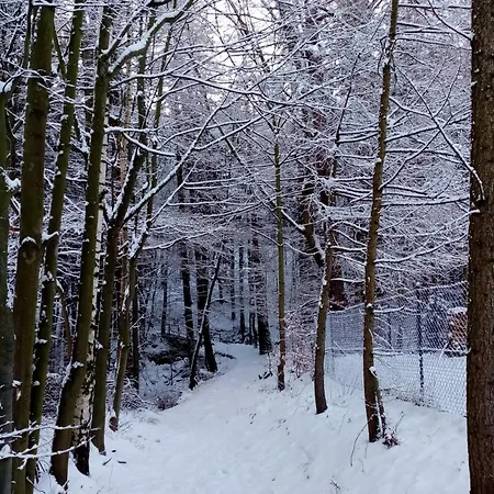 Dworek Dla Alergikow 