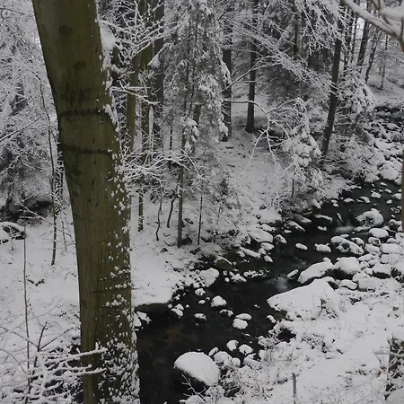 Dworek Dla Alergikow 