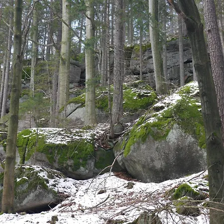 Dworek Dla Alergikow 