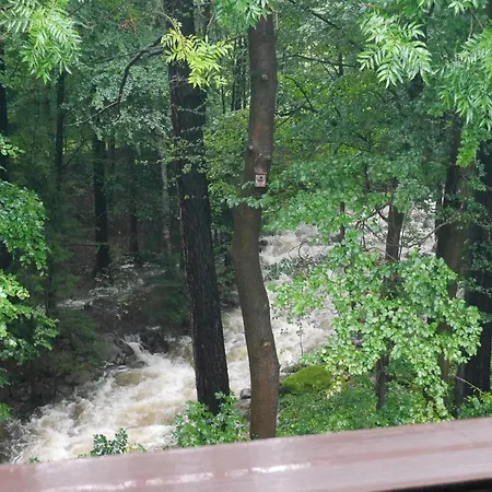 Dworek Dla Alergikow 