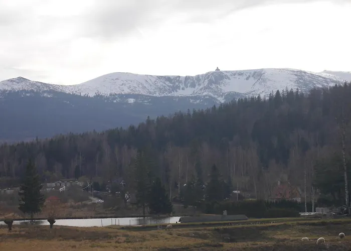 Dworek Dla Alergikow 