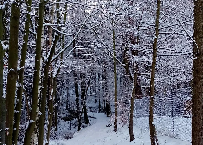 Dworek Dla Alergikow 