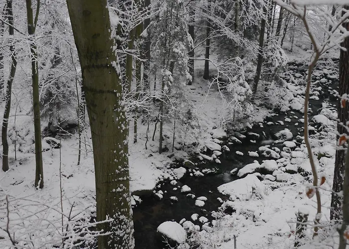 Dworek Dla Alergikow U Szkota Jelenia Góra