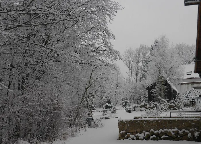 Dworek Dla Alergikow U Szkota