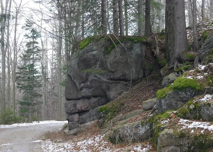 Dworek Dla Alergikow U Szkota *