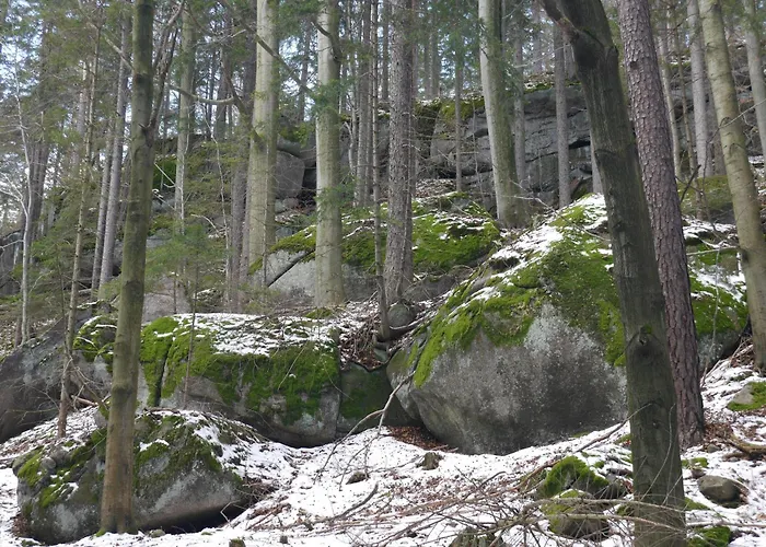 Dworek Dla Alergikow 