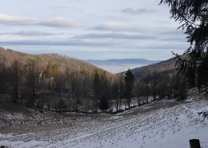 Dworek Dla Alergikow 