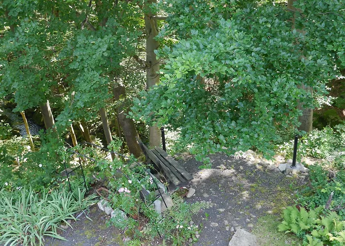 Apartament Dworek Dla Alergikow U Szkota *