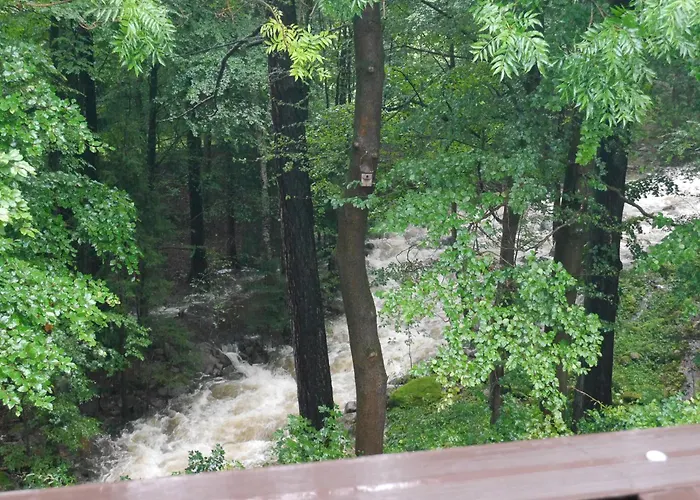 Dworek Dla Alergikow 